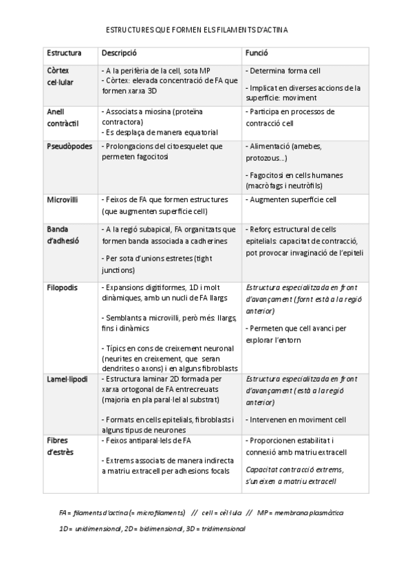 Miniatura del documento Estructures-filaments-actina.pdf