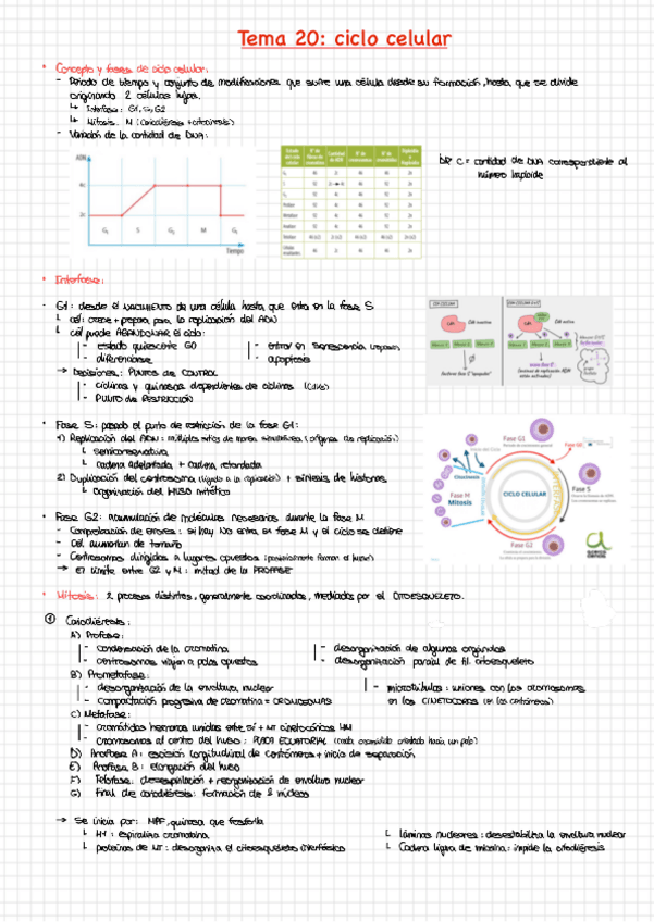 Miniatura del documento Tema-20.pdf
