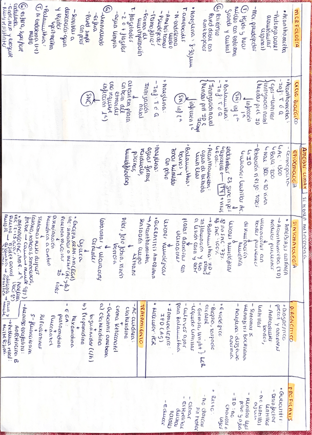 Miniatura del documento Tablas-Parasitos-Primer-Cuatrimestre.pdf