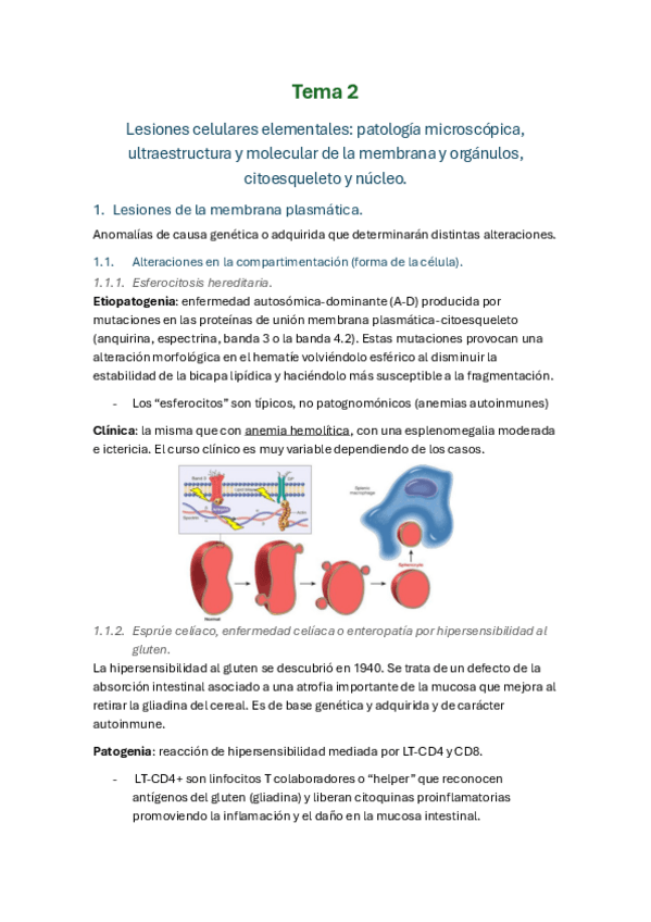 Miniatura del documento Tema-2-APG.pdf