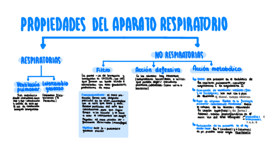 Miniatura del documento Propiedades-Del-Aparato-Respiratorio.pdf