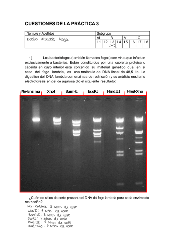 Miniatura del documento CUESTIONARIOPRAC3-1.pdf