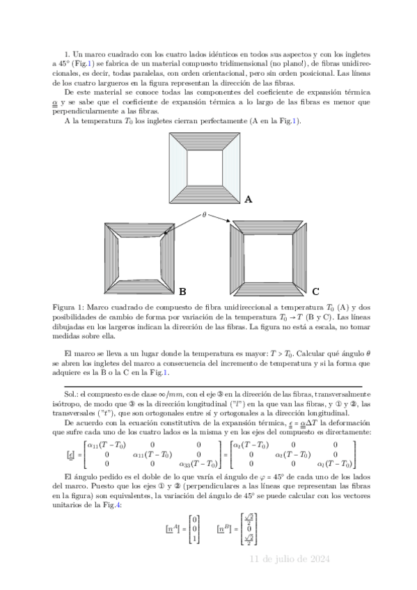 Miniatura del documento julio-2024-soluciones.pdf