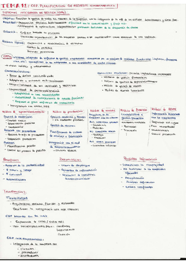 Miniatura del documento RESUMEN-TEMA-12.pdf
