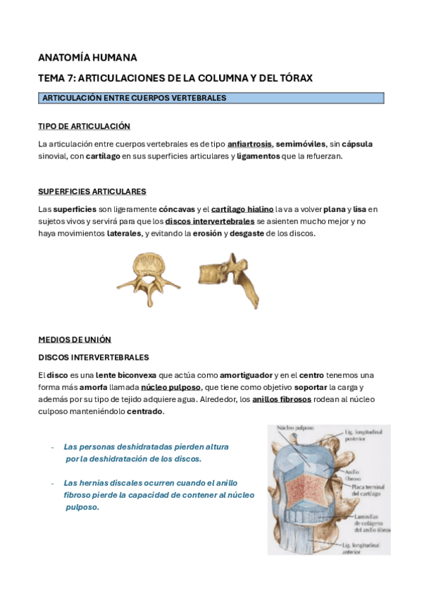 Miniatura del documento ANATOMIA-TEMA-7.pdf