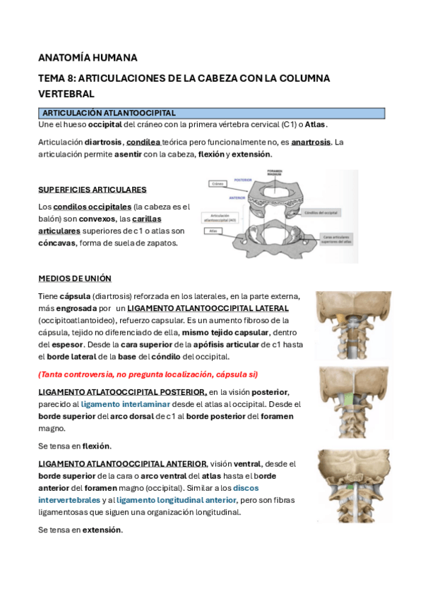 Miniatura del documento ANATOMIA-TEMA-8.pdf