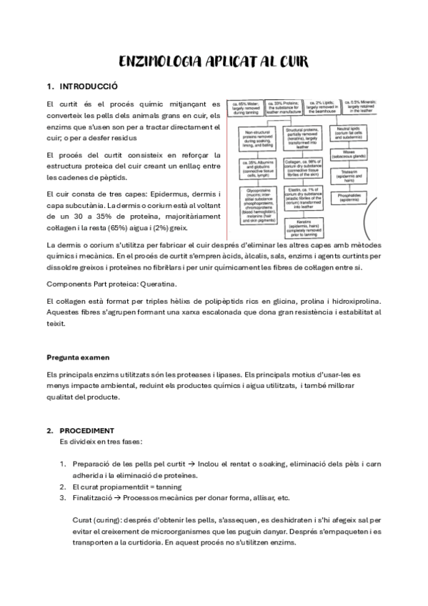 Miniatura del documento enzims-pel-cuir.pdf