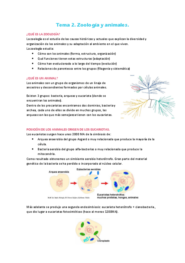 Miniatura del documento Tema-2.-Zoologia-y-animales.pdf