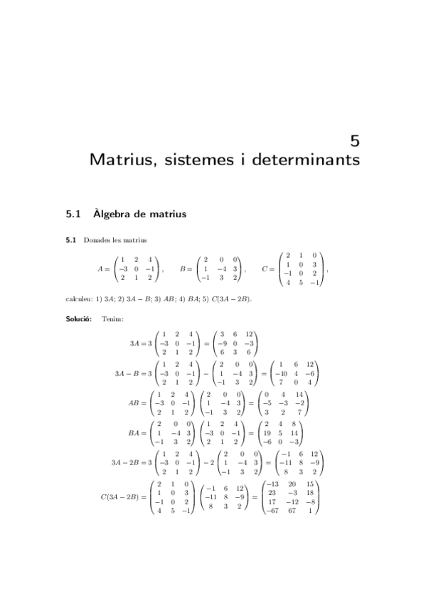 Miniatura del documento MatriusSistemesDeterminants-Solucions.pdf