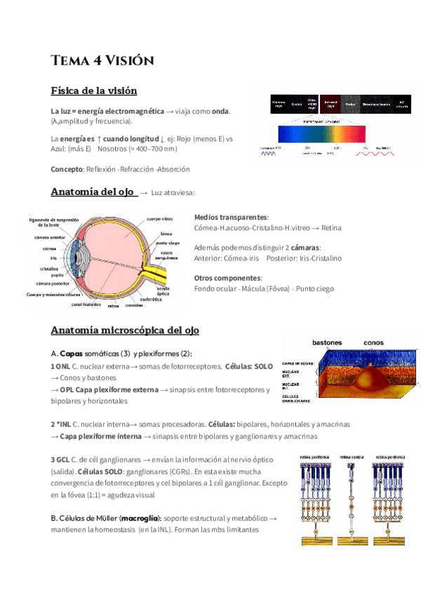 Miniatura del documento T-4-Vision.pdf