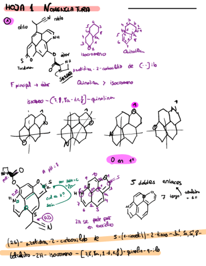 Miniatura del documento Hoja-1-Nomenclatura.pdf