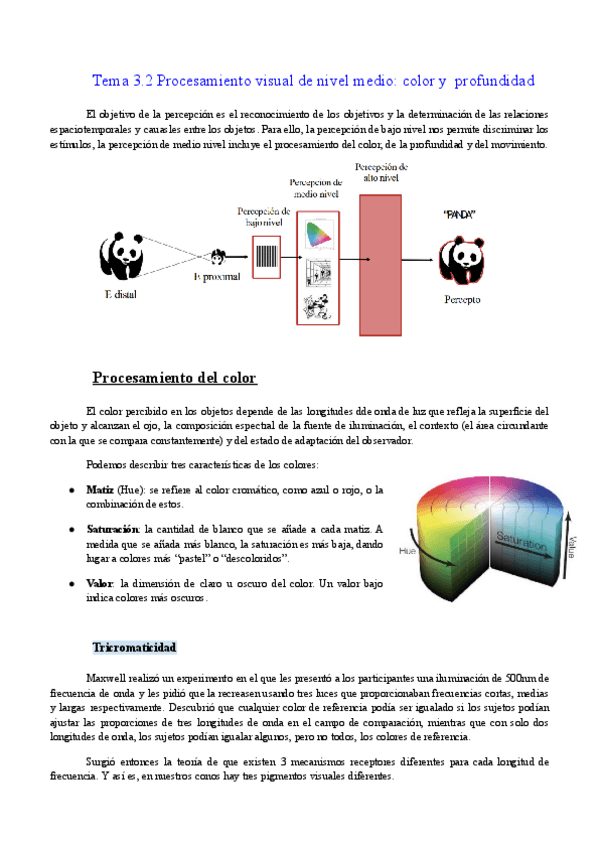 Miniatura del documento Tema-3.2.-Procesamiento-visual-de-medio-nivel-color-y-profundidad.pdf