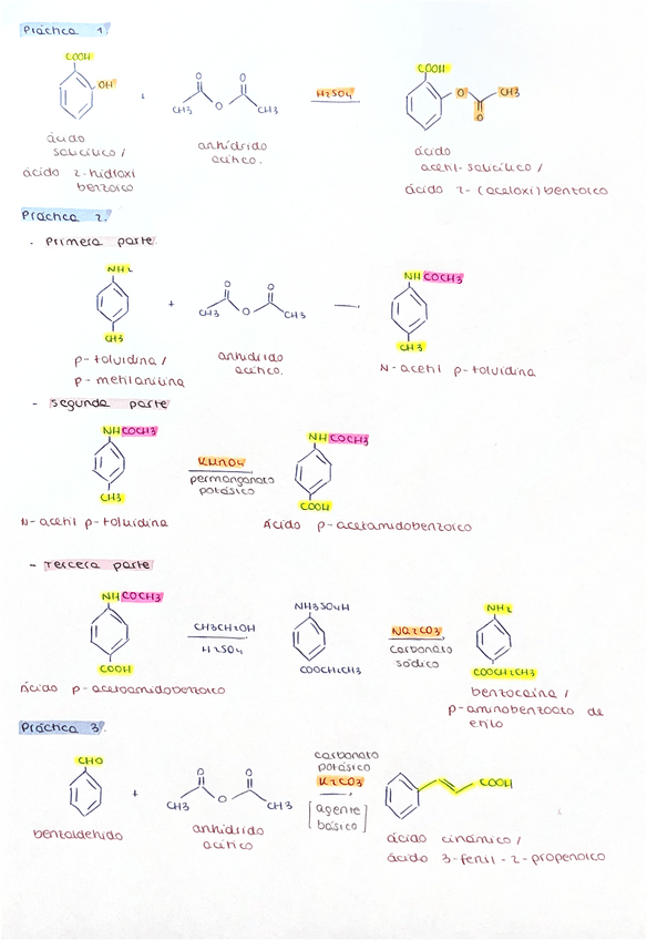 Miniatura del documento apuntes-practicas-nota-10.pdf