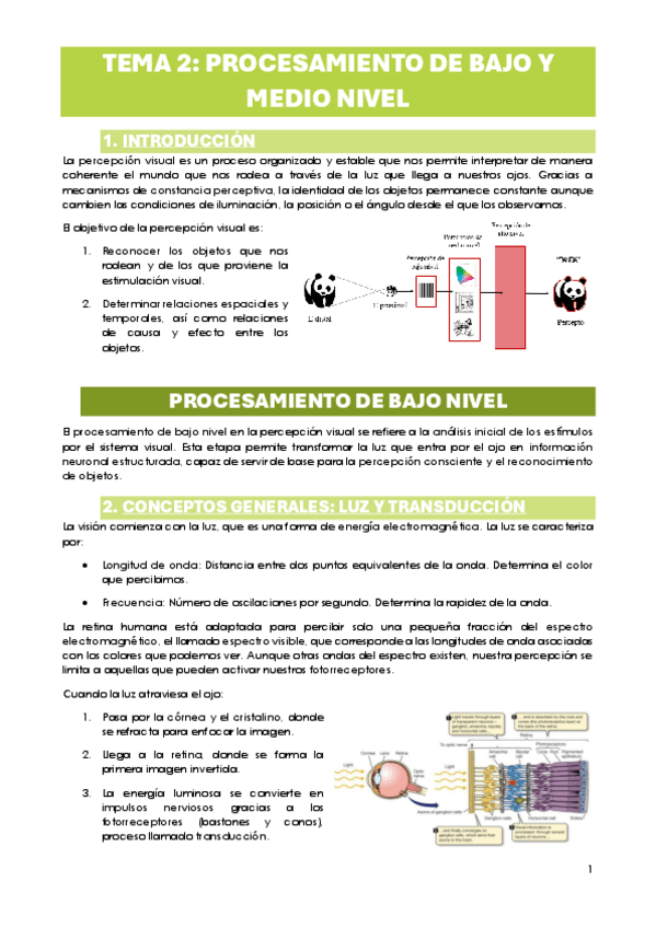 Miniatura del documento TEMA-2.-PROCESAMIENTO-DE-BAJO-Y-MEDIO-NIVEL.pdf