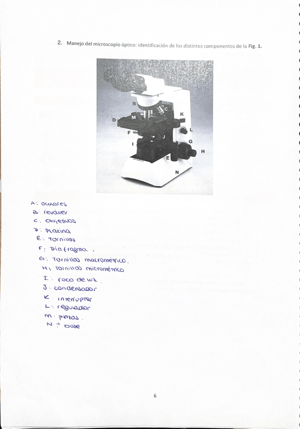 Miniatura del documento Guia-de-Practicas-Biologia-completa-202526.pdf