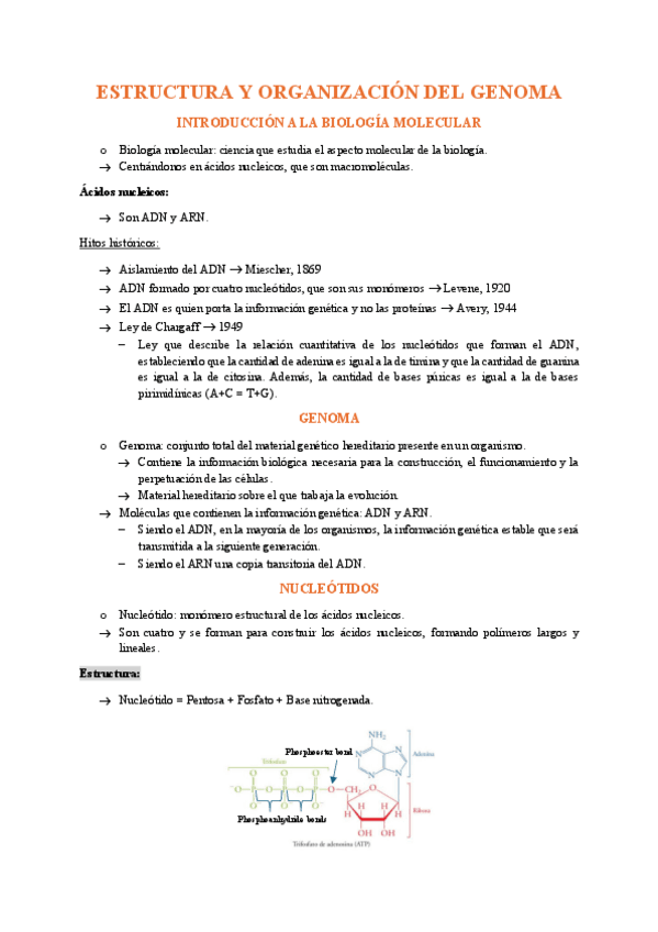 Miniatura del documento UNIDAD-4-ESTRUCTURA-Y-ORGANIZACION-DEL-GENOMA.pdf