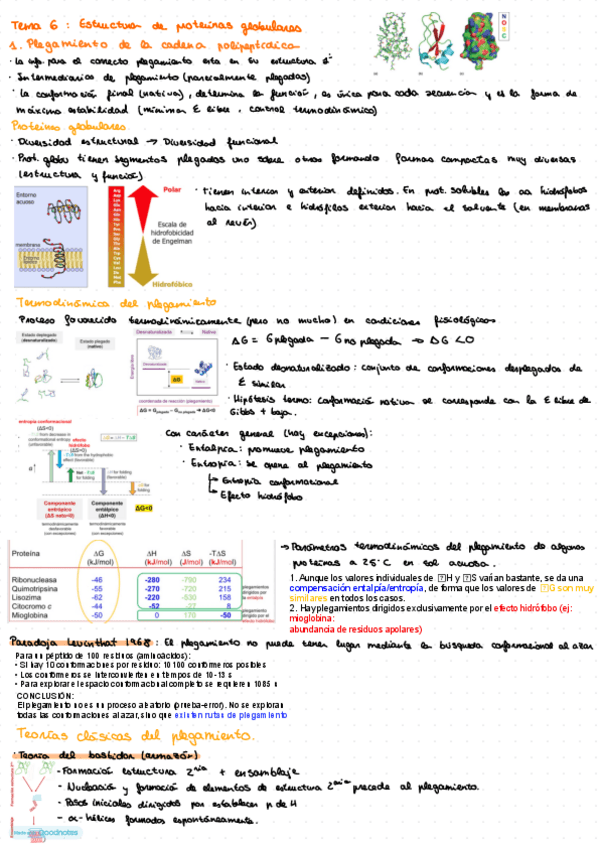 Miniatura del documento Bioquimica-Resumen-tema-6y7.pdf