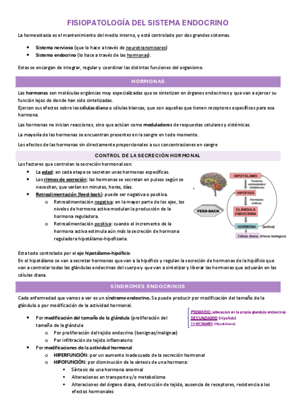 Miniatura del documento FISIOPATOLOGIA-SISTEMA-ENDOCRINO.pdf
