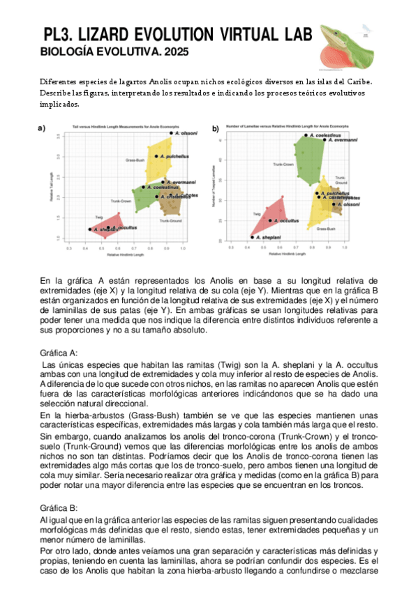 Miniatura del documento PL3-2025-EVO.pdf