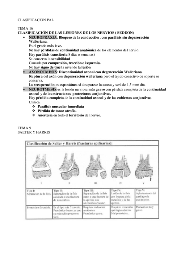 Miniatura del documento clasificaciones pal.pdf