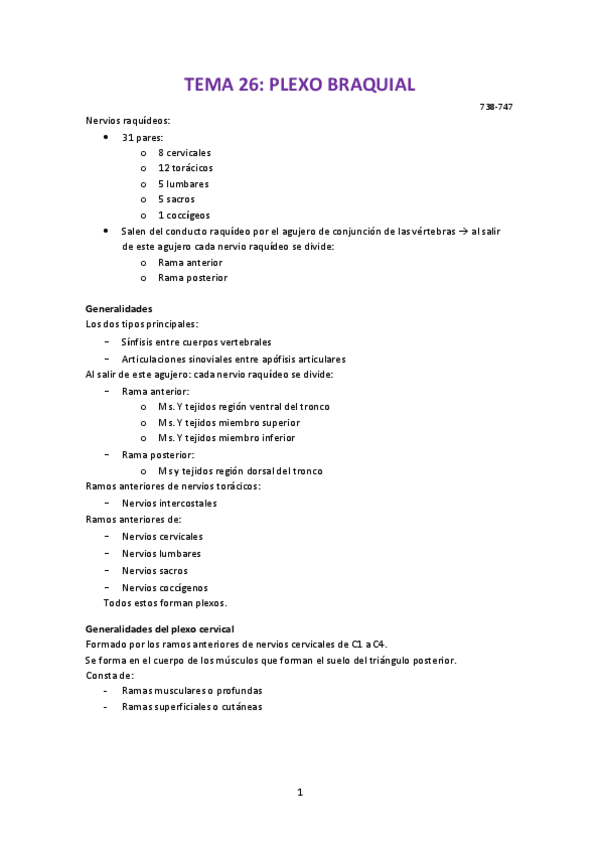 Miniatura del documento Anatomia segundo cuatri.pdf