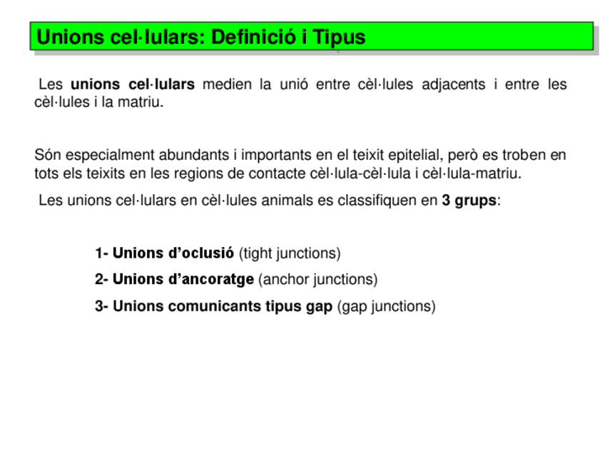 Miniatura del documento Tema 4.2 Unions i adhesions.pdf