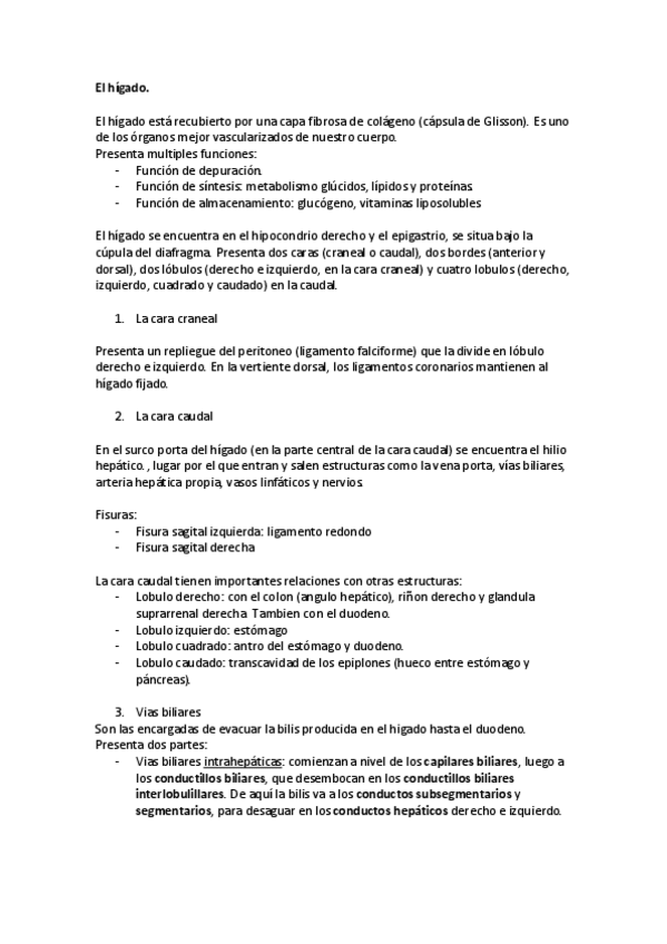 Miniatura del documento El higado.pdf