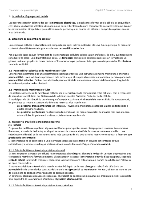 Miniatura del documento Resum capítol 7.pdf