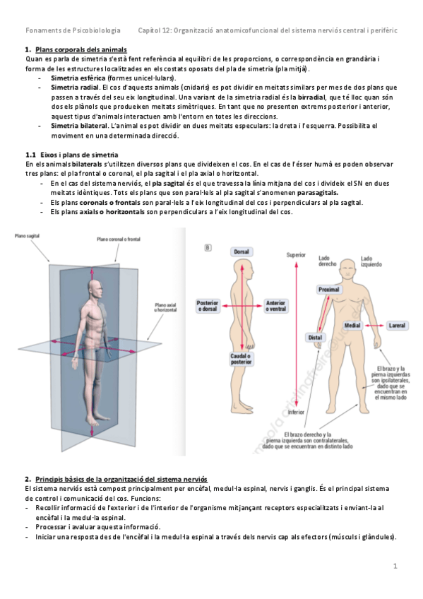 Miniatura del documento Resum Capítol 12.pdf