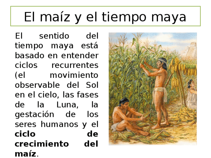 Miniatura del documento Presentación.pptx