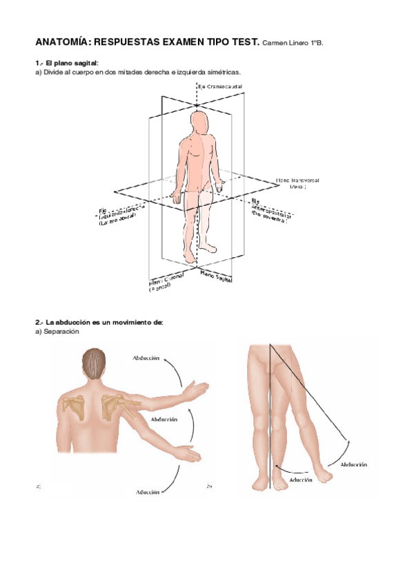 Miniatura del documento Anatomía Respuestas examen.pdf