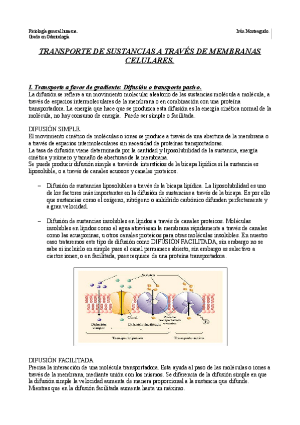 Miniatura del documento Tema 3. Transporte de sustancias a través de membranas celulares..pdf