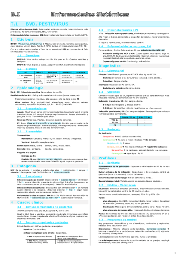 Miniatura del documento Apuntes completos Rumiantes.pdf