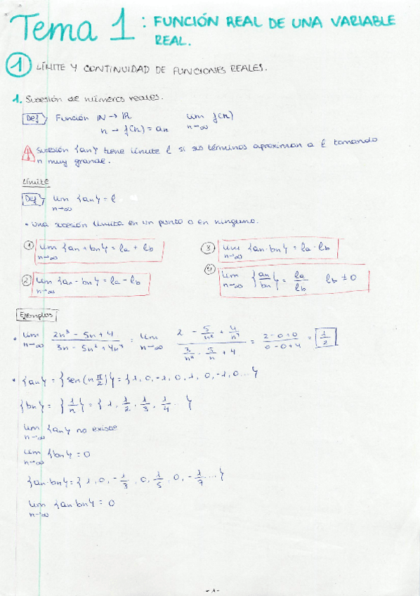 Miniatura del documento TEMA 1 FUNCION REAL DE UNA VARIABLE.pdf