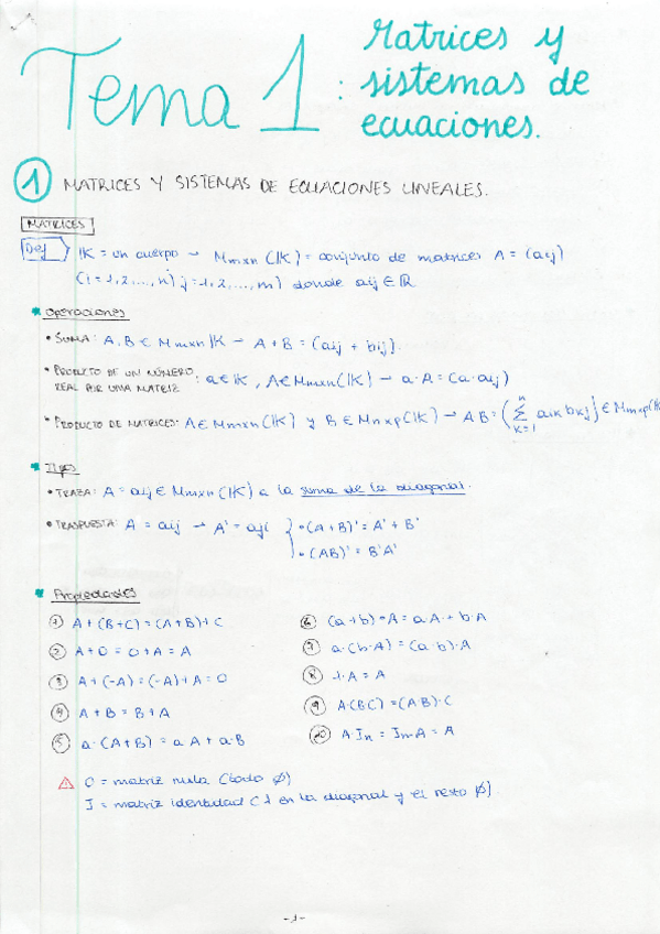 Miniatura del documento TEMA 1 - MATRICES Y SISTEMAS DE ECUACIONES.pdf