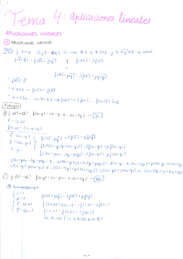 Miniatura del documento TEMA 4 - APLICACIONES LINEALES.pdf