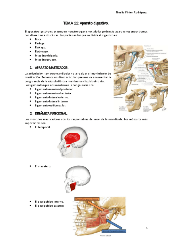 Miniatura del documento digestivo.pdf