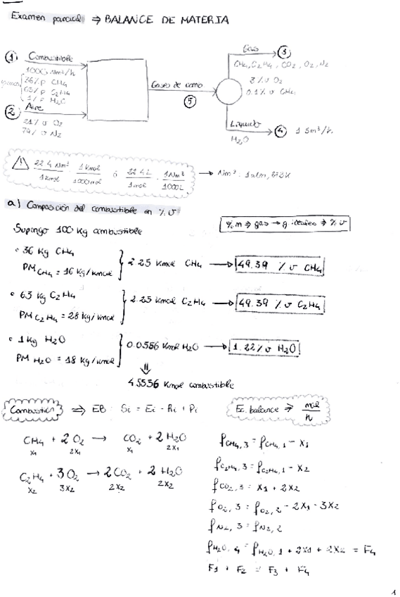 Miniatura del documento Resolución Parcial 20182019.pdf
