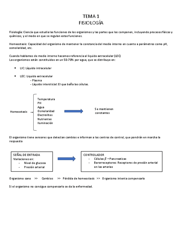 Miniatura del documento APUNTES COMPLETOS.pdf