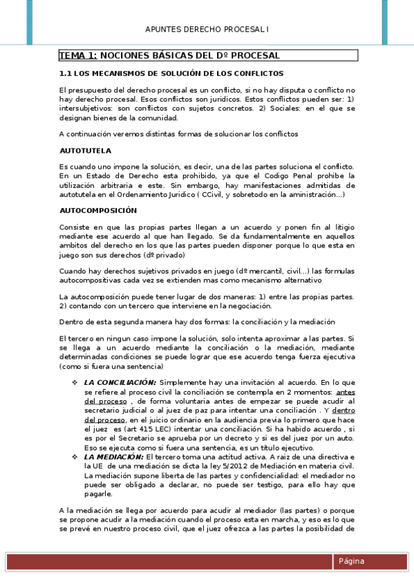 Miniatura del documento apuntes procesal cabiale patatabrava.docx