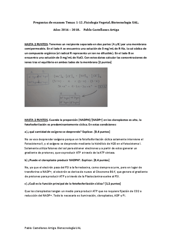 Miniatura del documento Preguntas Examen Resueltas (PARTE 1).pdf