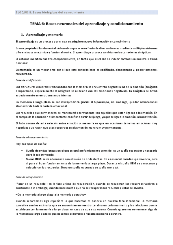 Miniatura del documento BII_TEMA 6.pdf