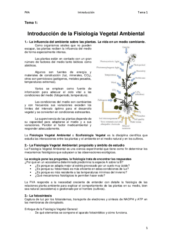Miniatura del documento Tema 1 Introducción a la Fisiología Vegetal Ambiental.pdf