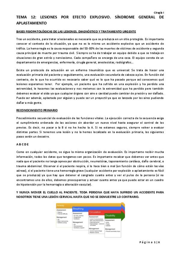 Miniatura del documento TEMA 12 Lesiones por explosión y por aplastamiento.pdf