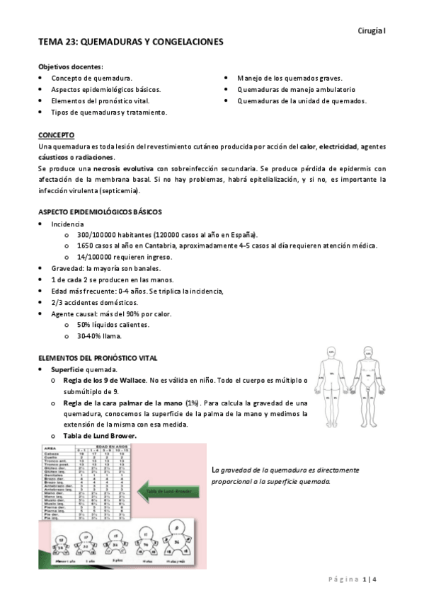 Miniatura del documento TEMA 23 QUEMADURAS Y CONGELACIONES.pdf