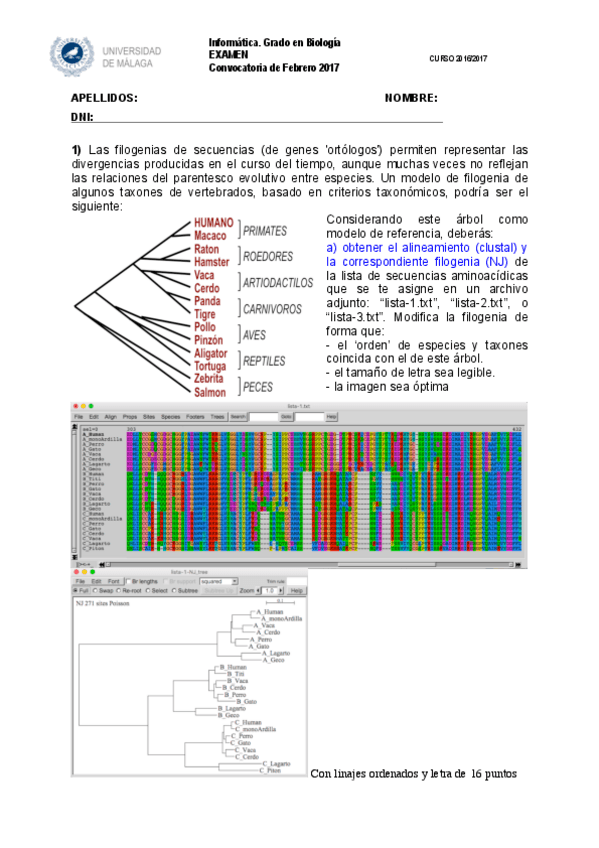 Miniatura del documento EXAMEN FEBRERO 2017.pdf