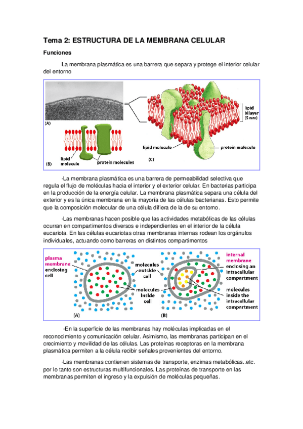 Miniatura del documento Tema 2.docx