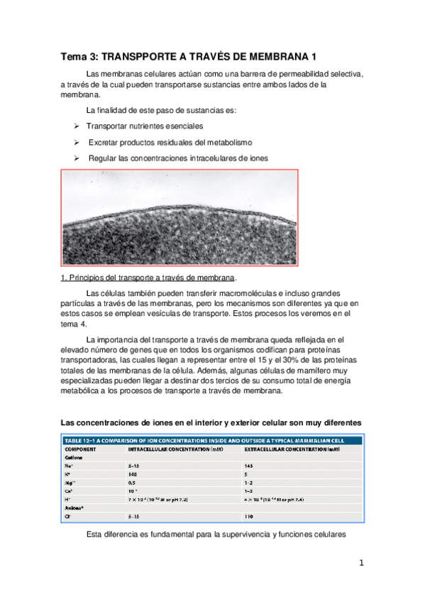 Miniatura del documento Tema 3.docx