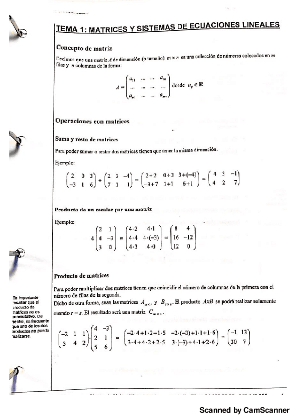Miniatura del documento apuntes montero.pdf