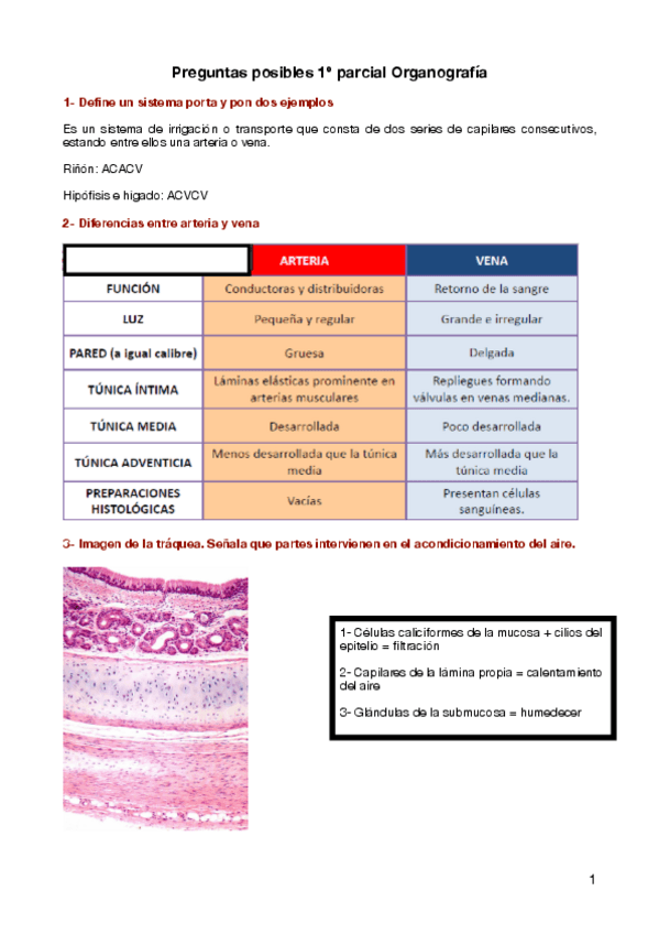 Miniatura del documento PREGUNTAS ORGANO .pdf
